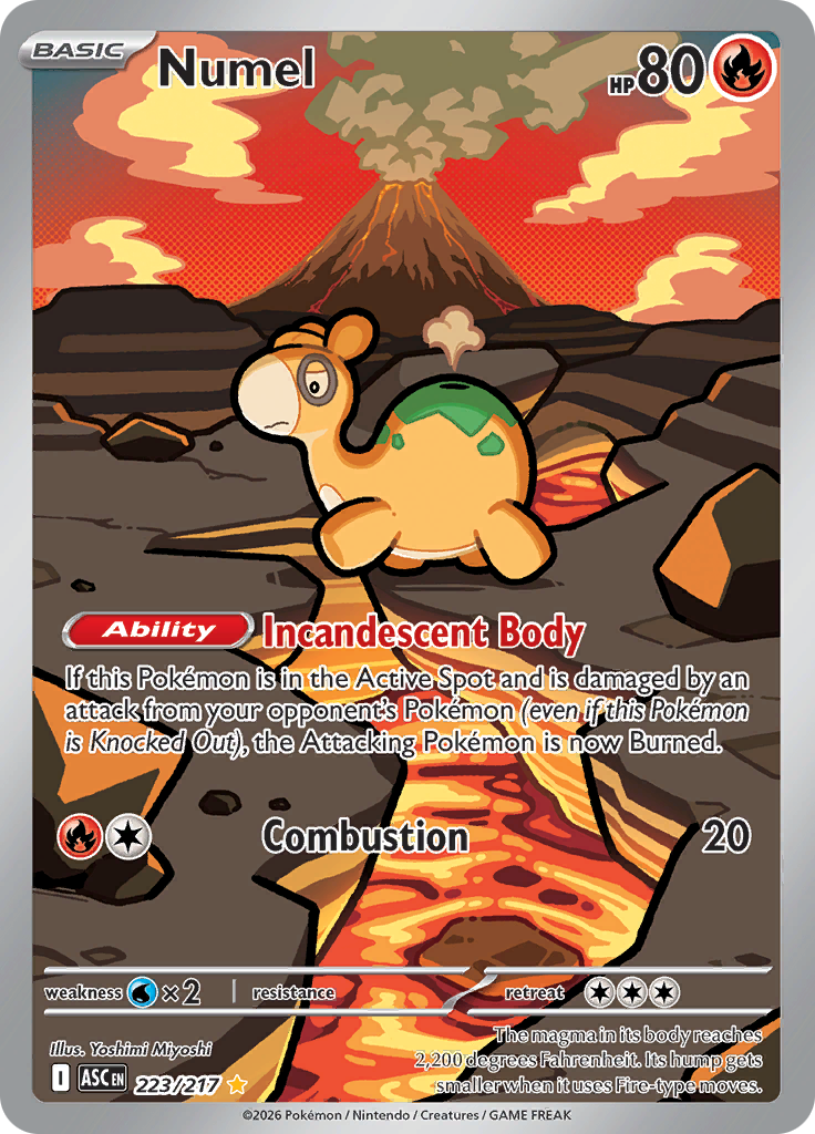 Numel