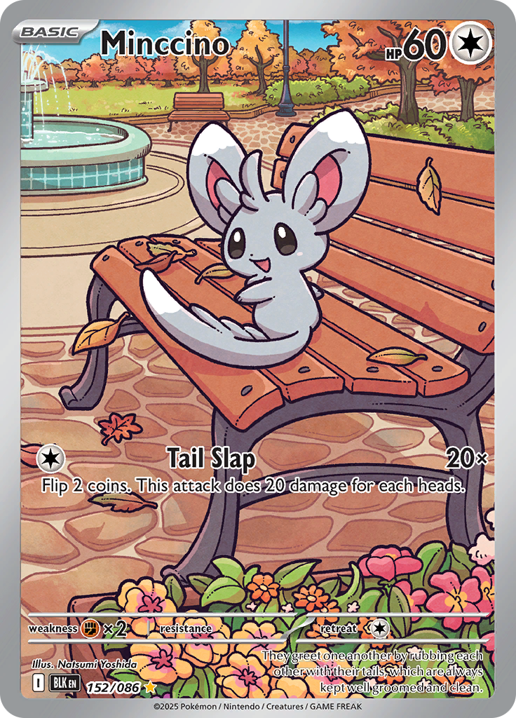 Minccino