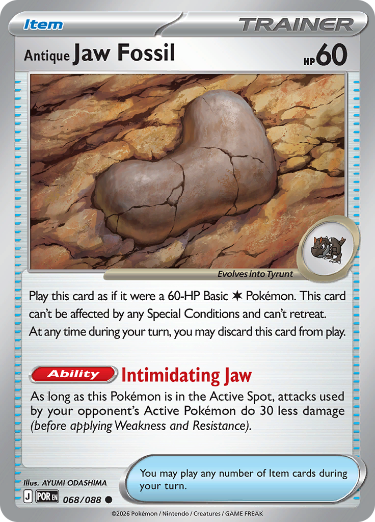 Antique Jaw Fossil