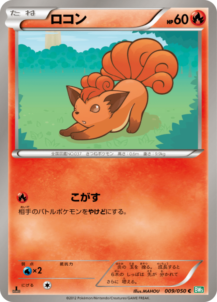 ロコン