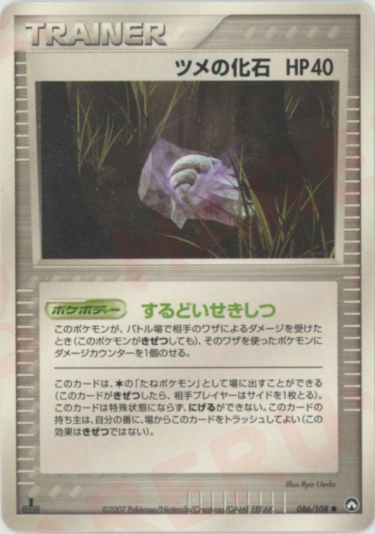 ツメの化石