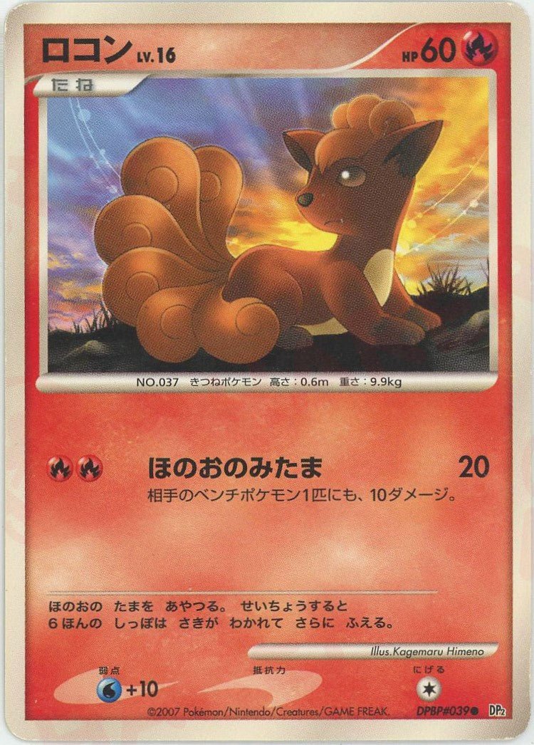ロコン