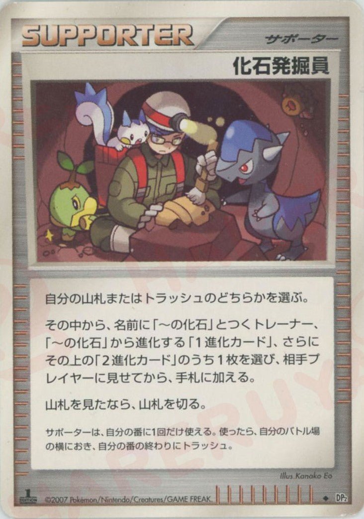 化石発掘員