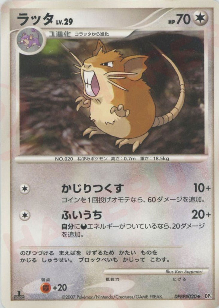 ラッタ