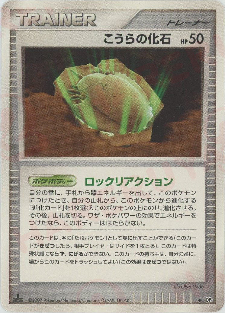 こうらの化石