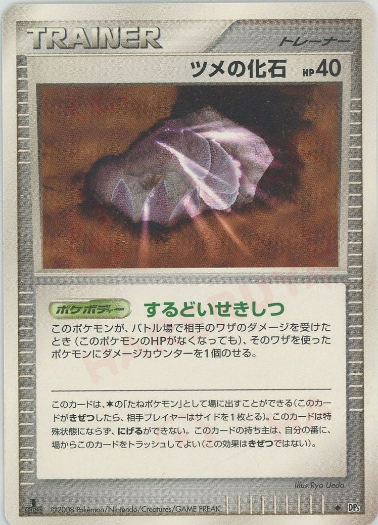 ツメの化石