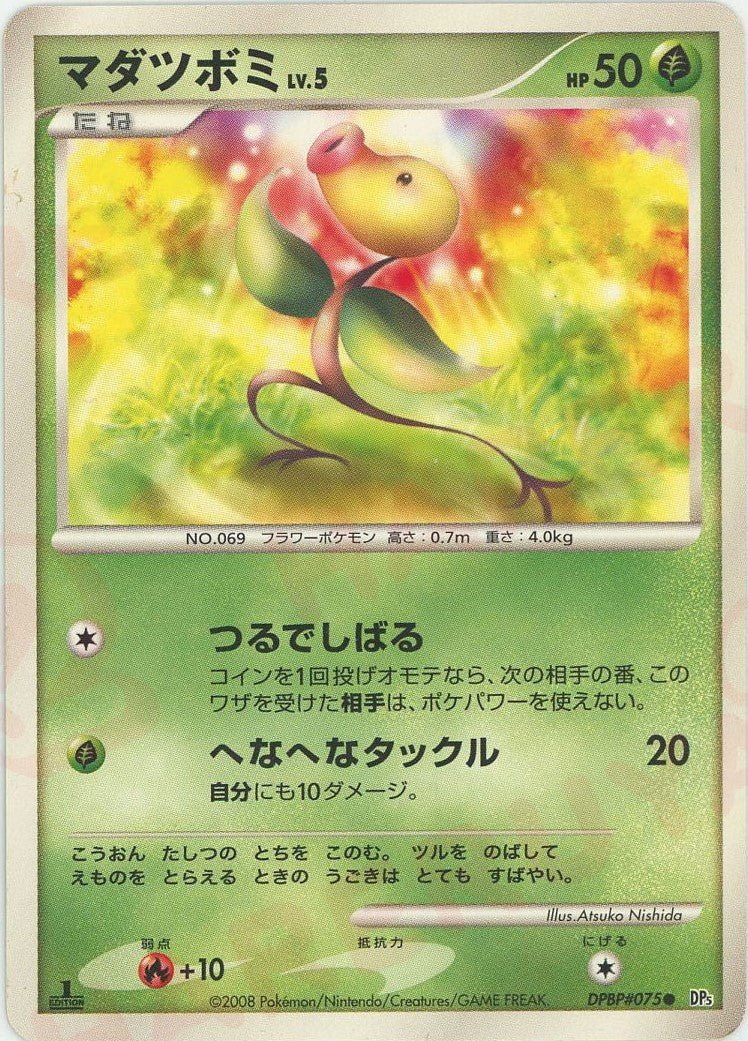 マダツボミ