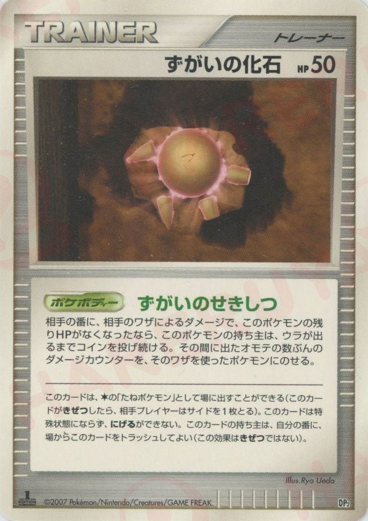 ずがいの化石:レアリティなし