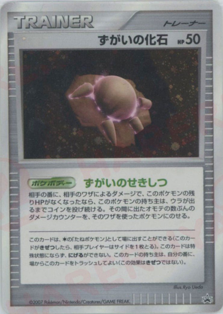ずがいの化石:プロモ