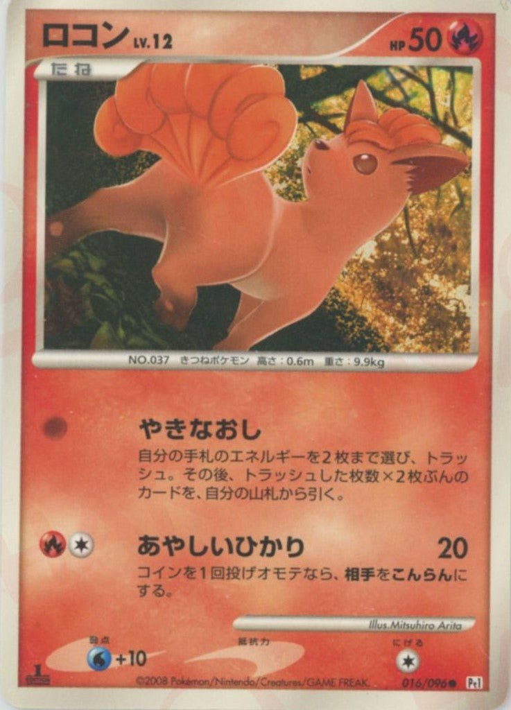 ロコン