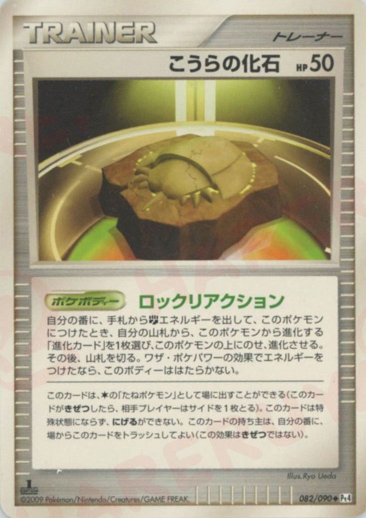 こうらの化石