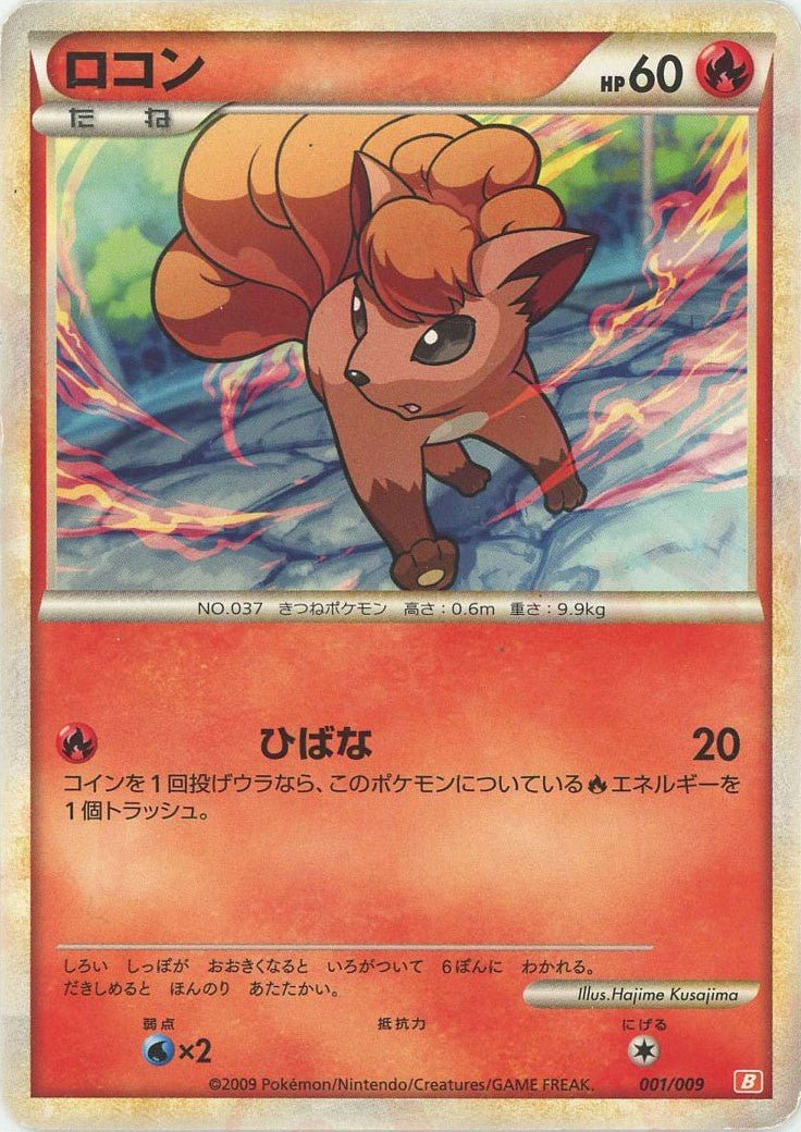 ロコン