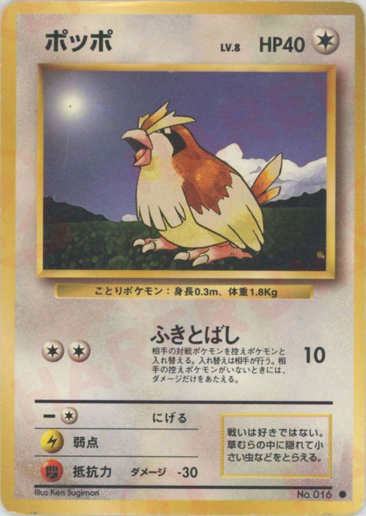 ポッポ
