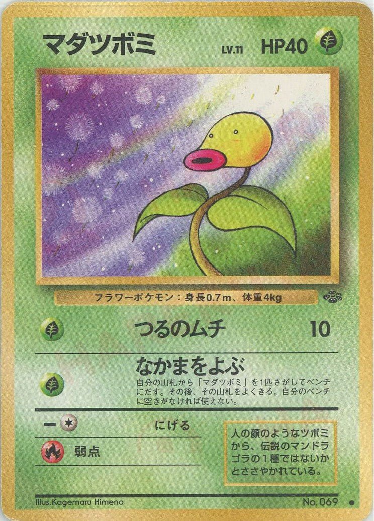 マダツボミ