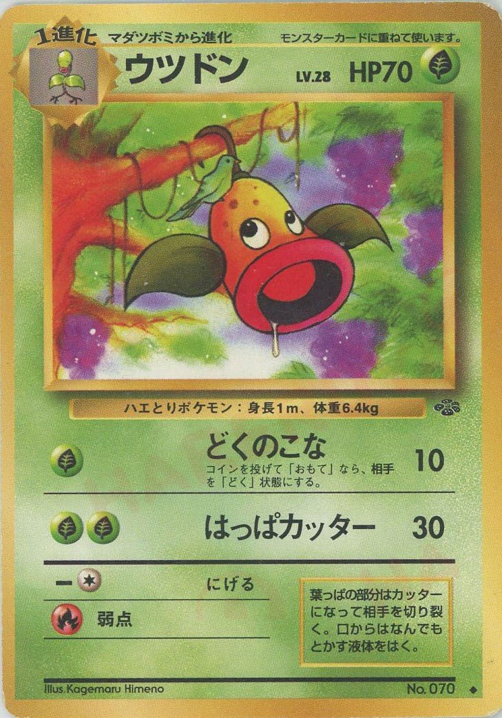 ウツドン