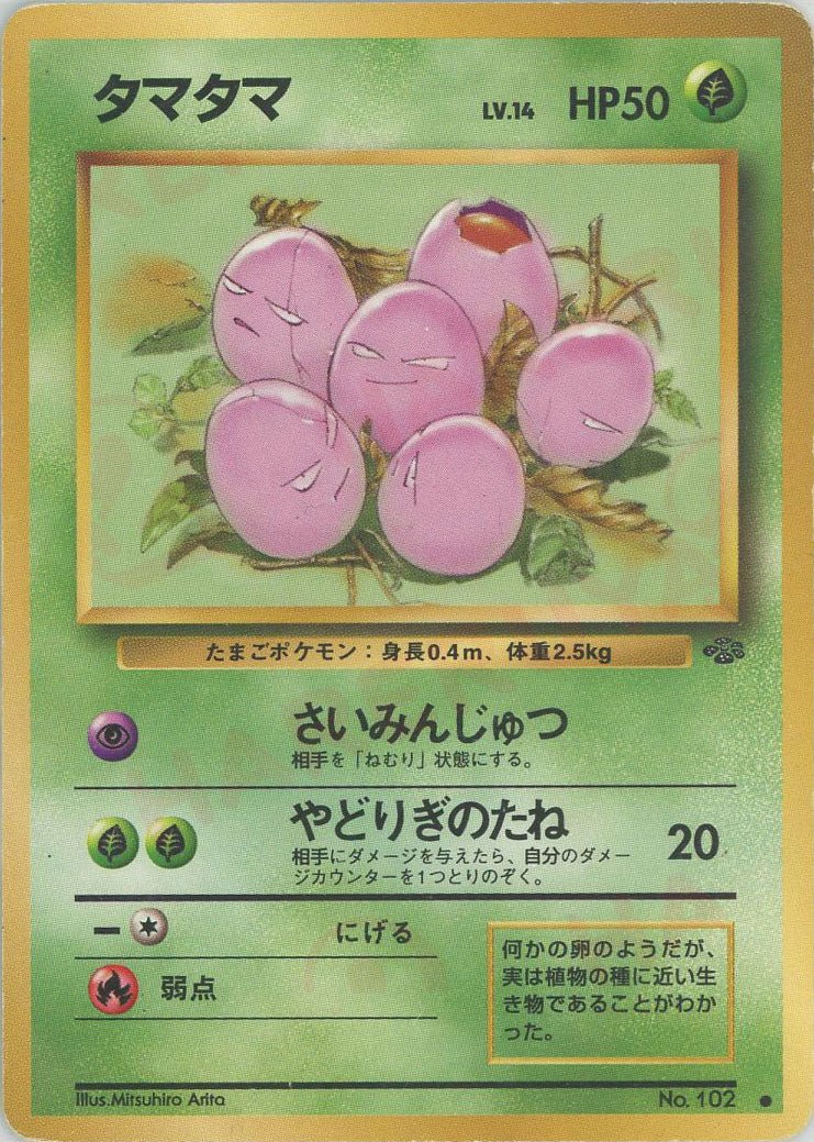 タマタマ