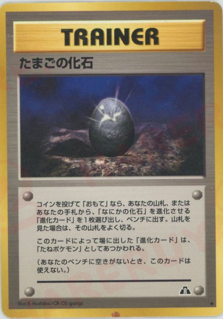 たまごの化石