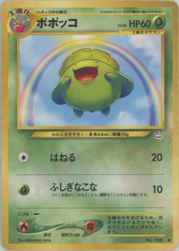 ポポッコ