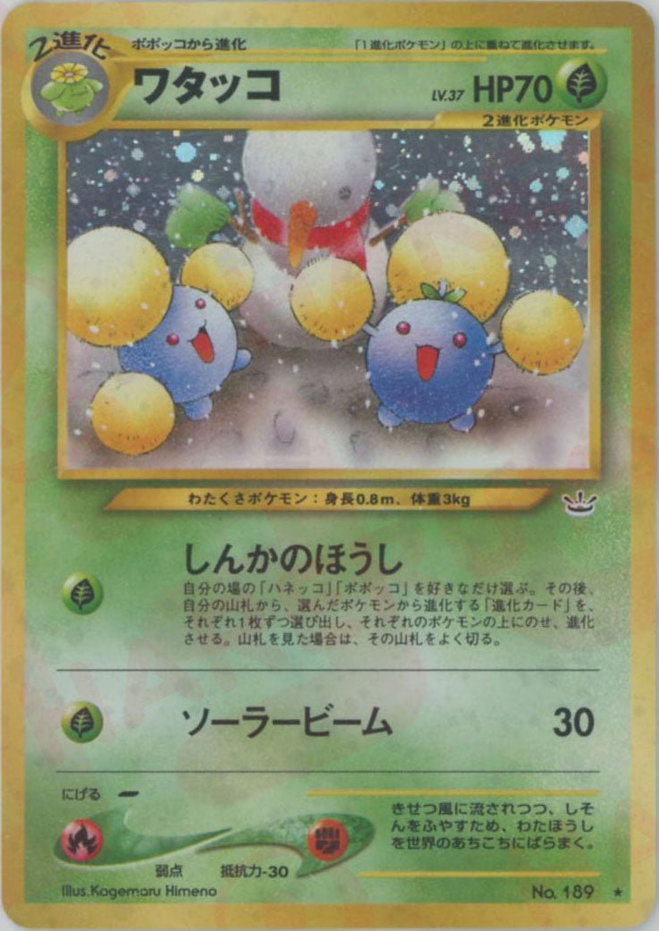 ワタッコ