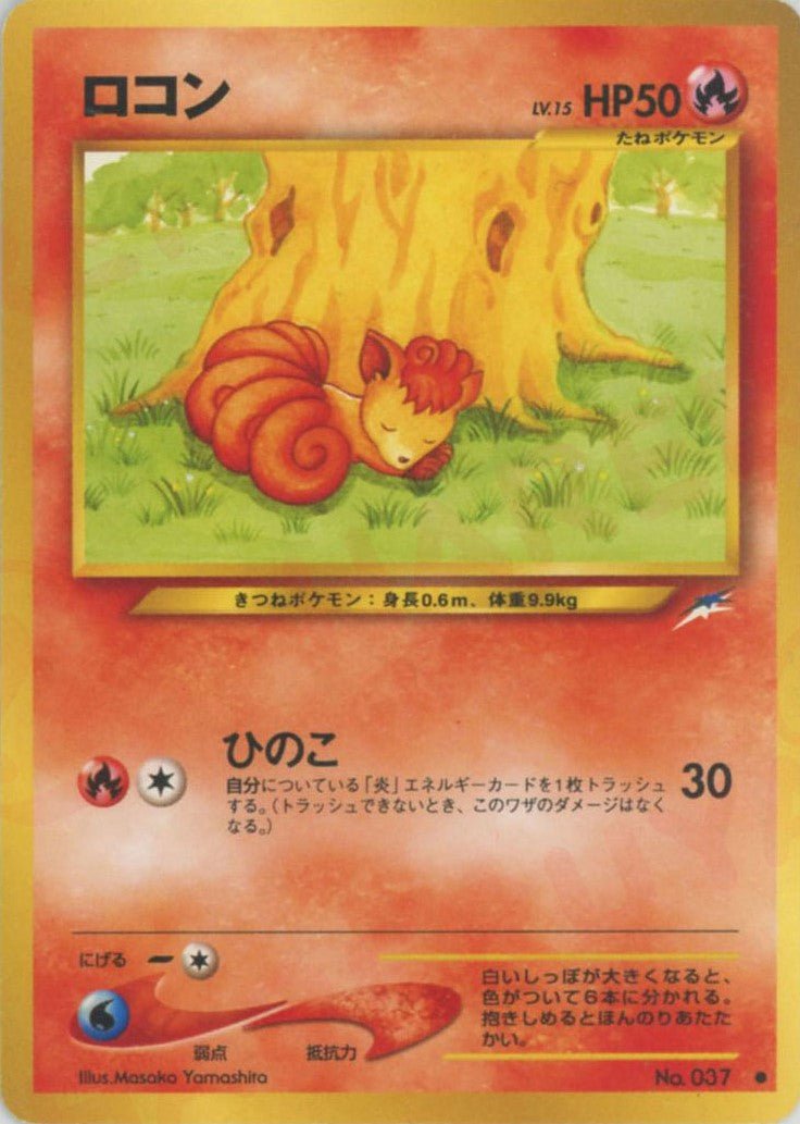 ロコン