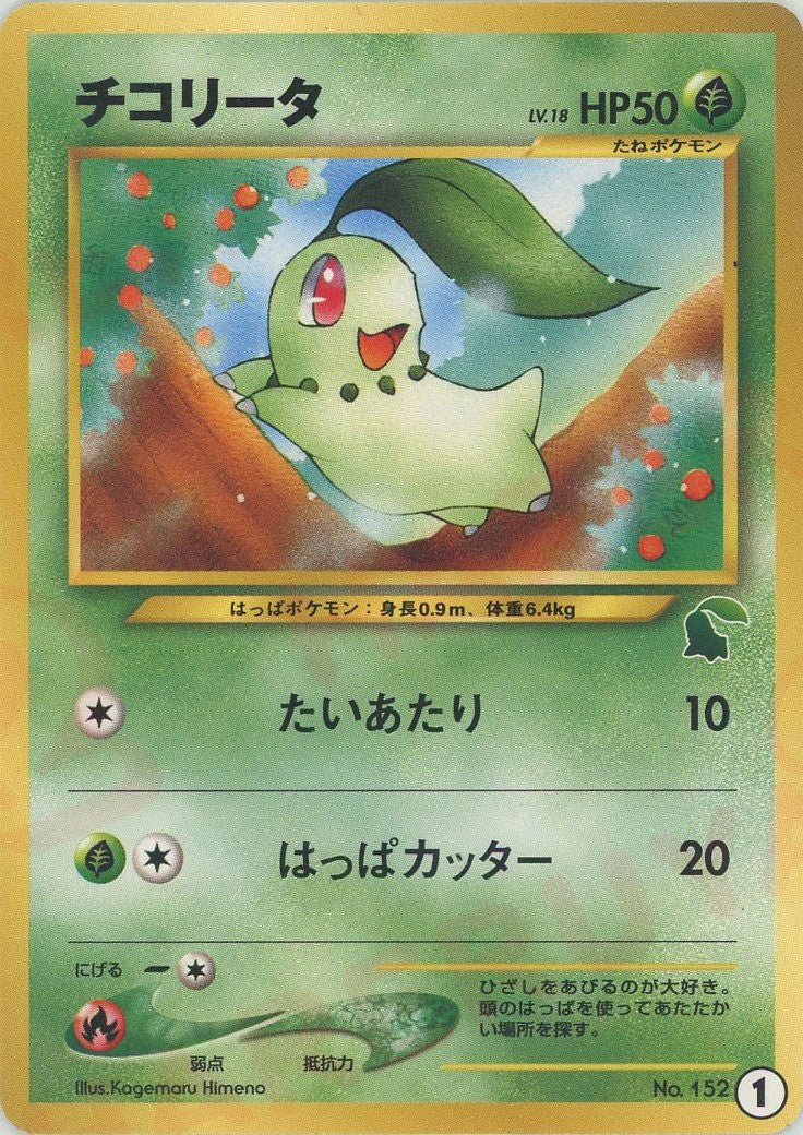 チコリータ