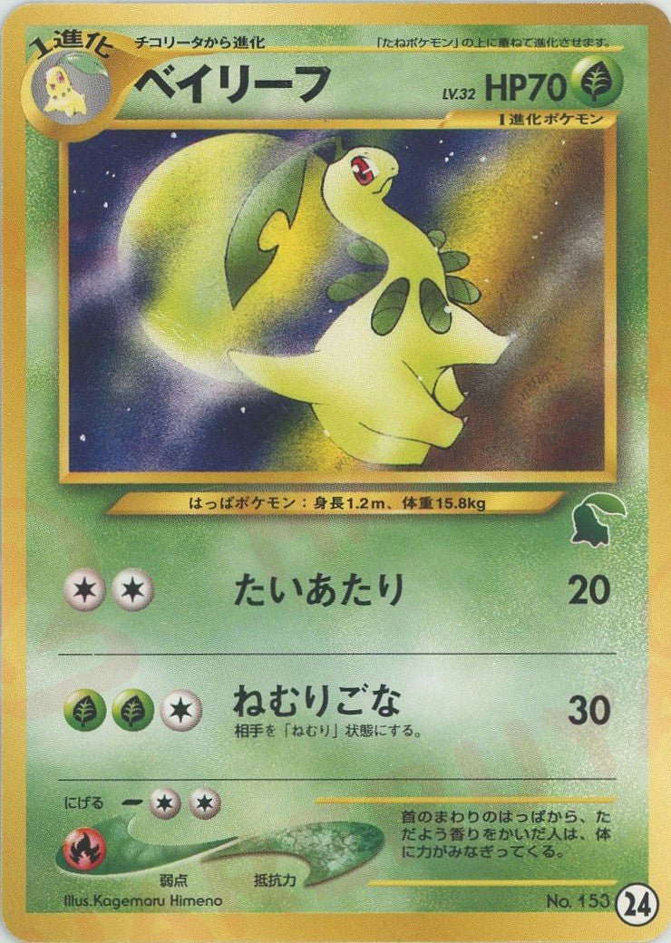 ベイリーフ