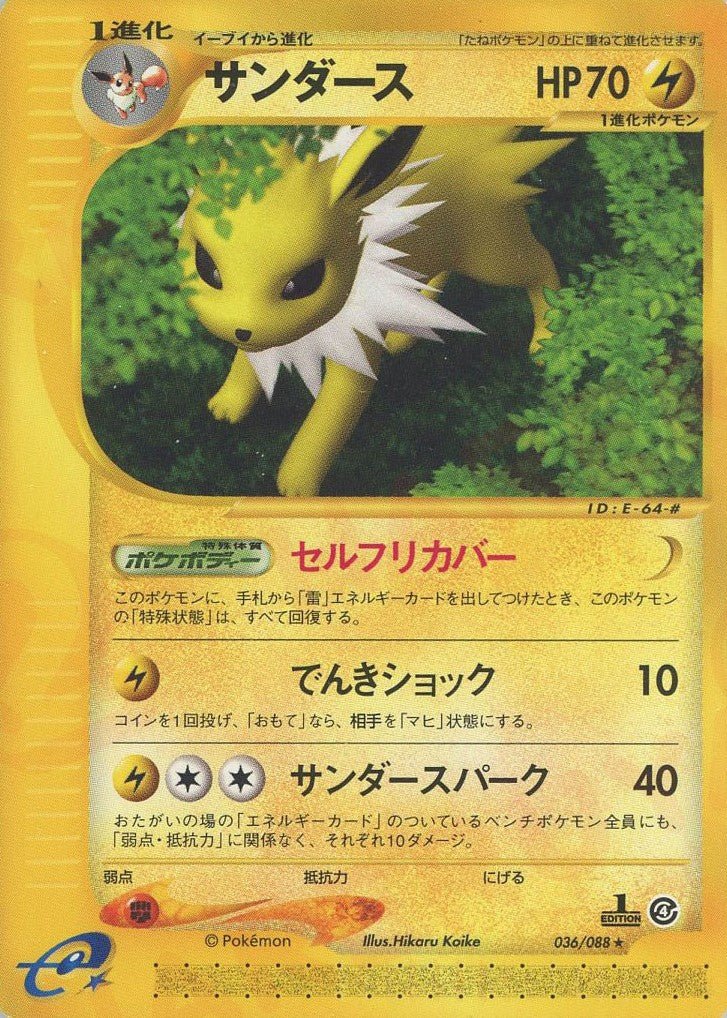 サンダース