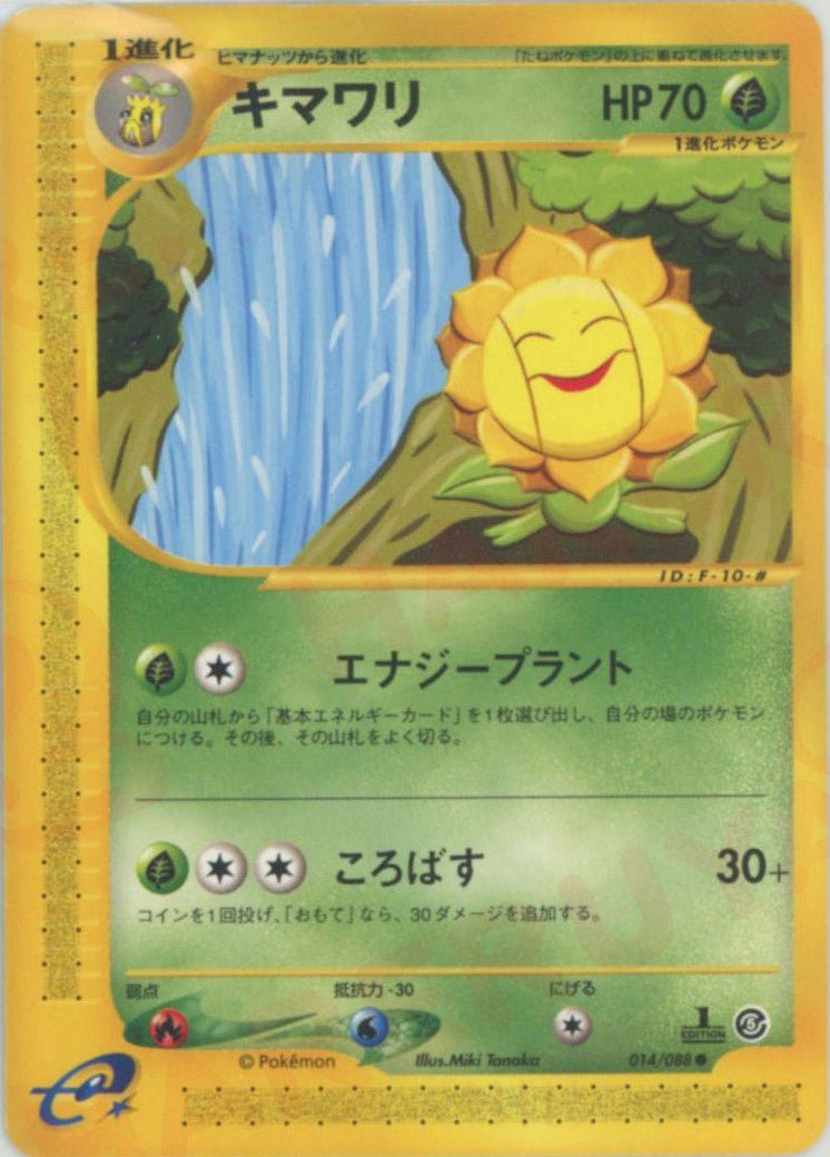 キマワリ