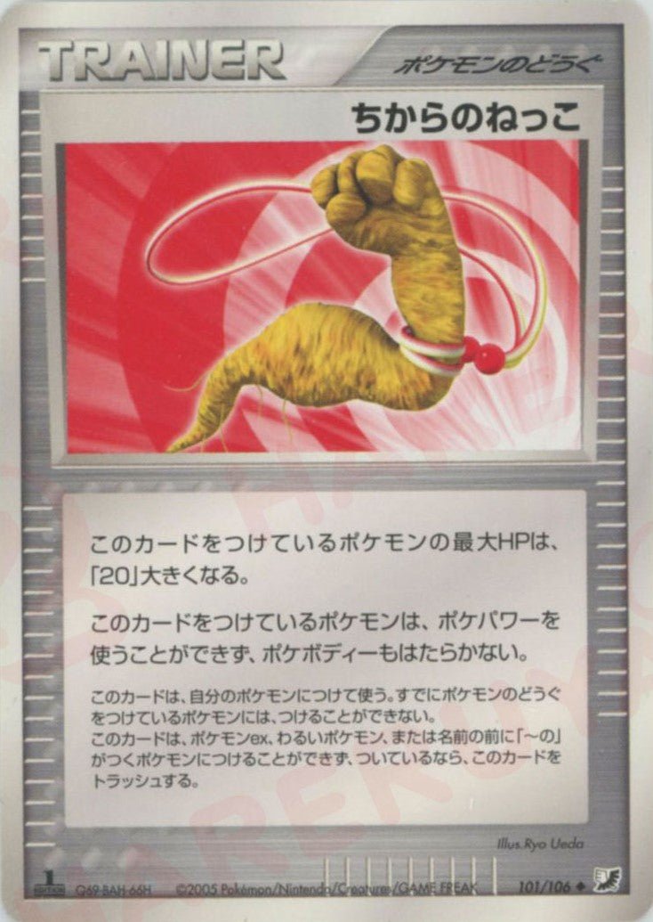 ちからのねっこ