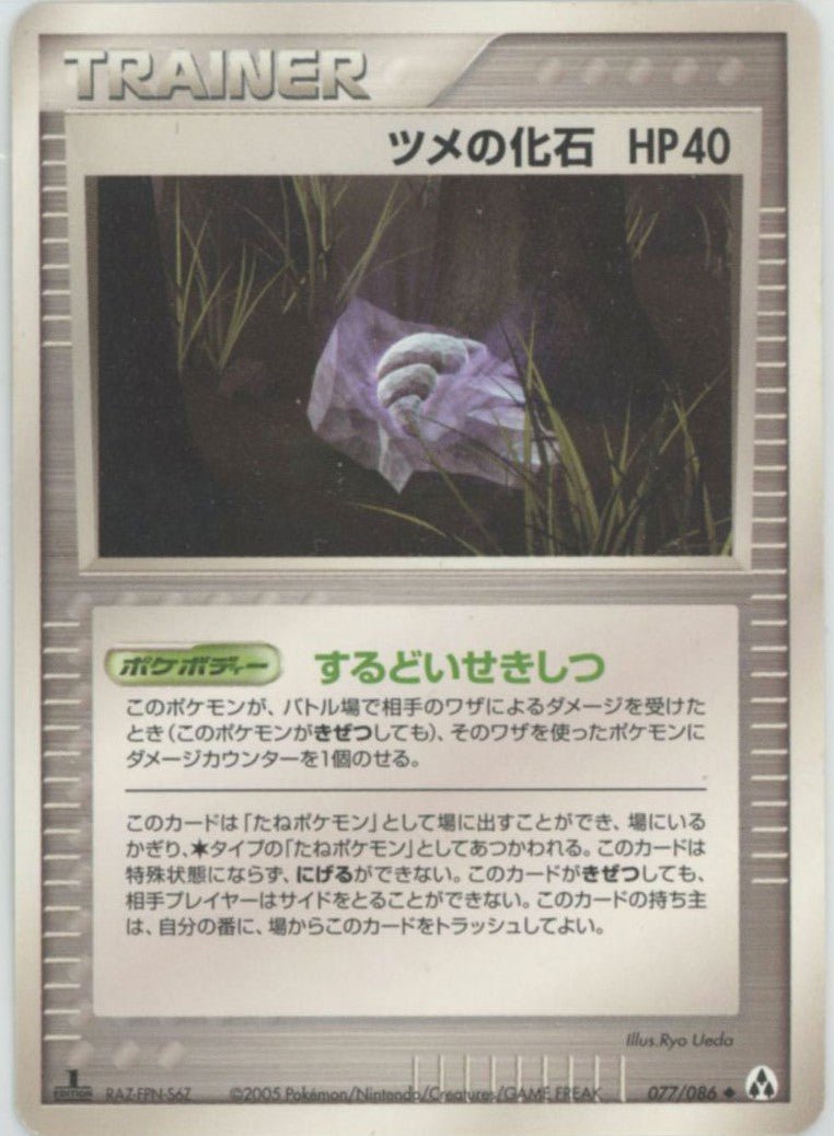 ツメの化石
