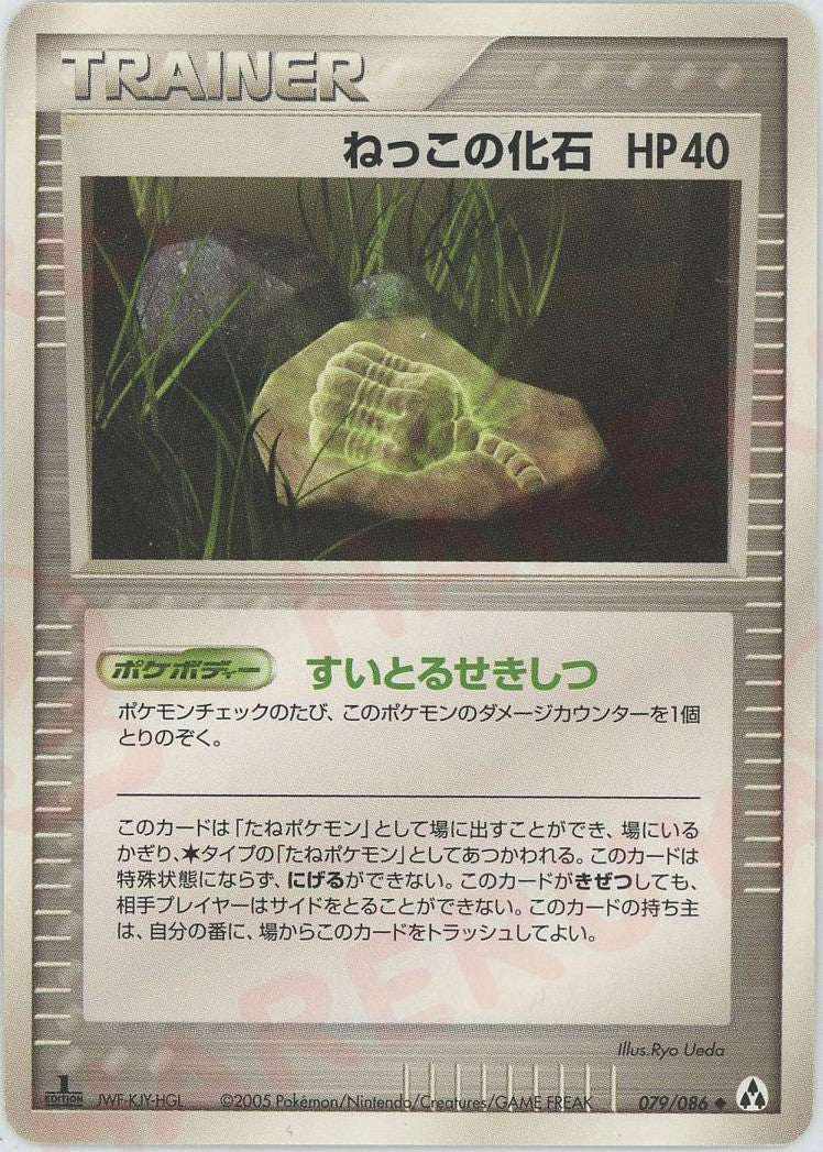 ねっこの化石