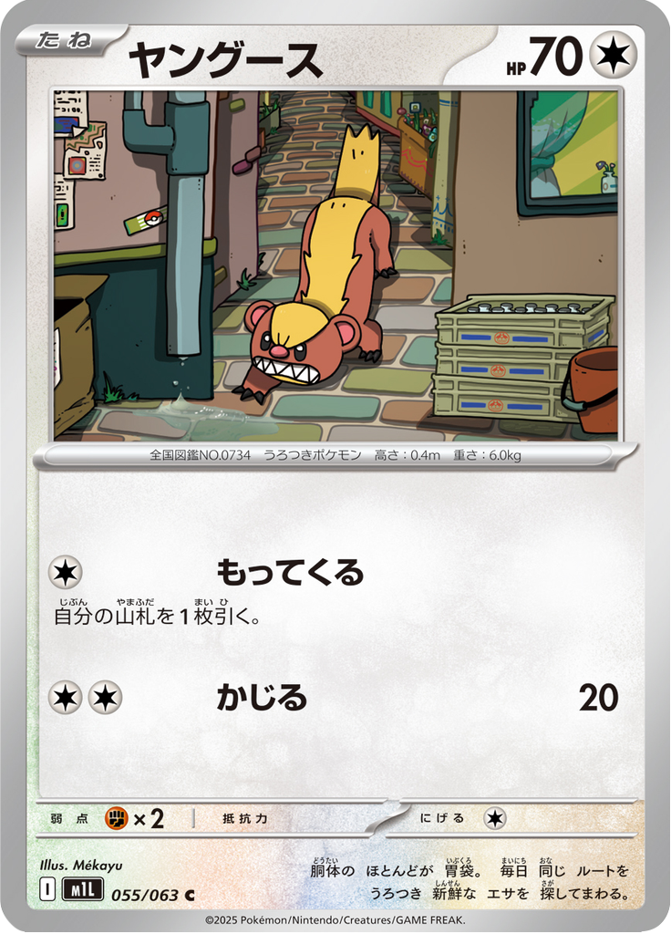 ヤングース