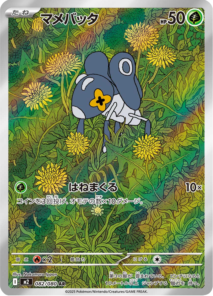 マメバッタ