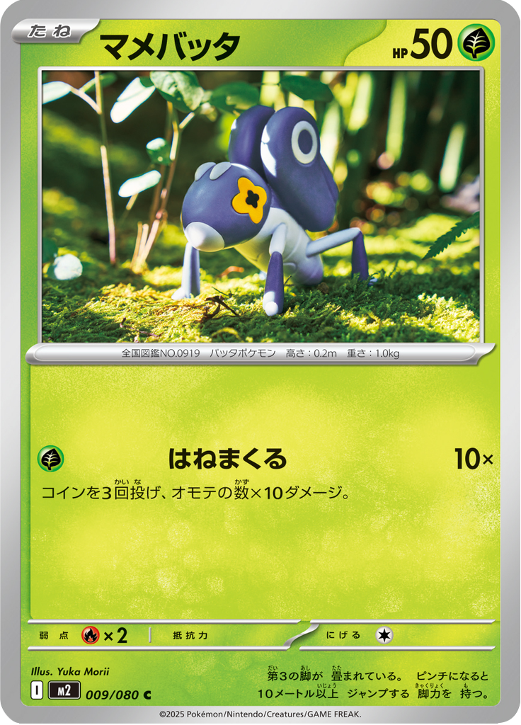 マメバッタ
