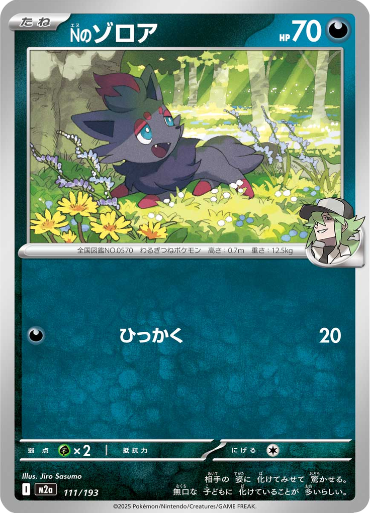 Nのゾロア