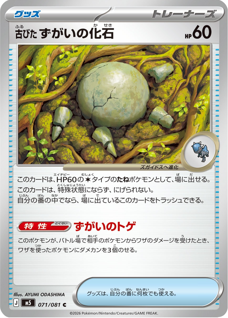 古びたずがいの化石