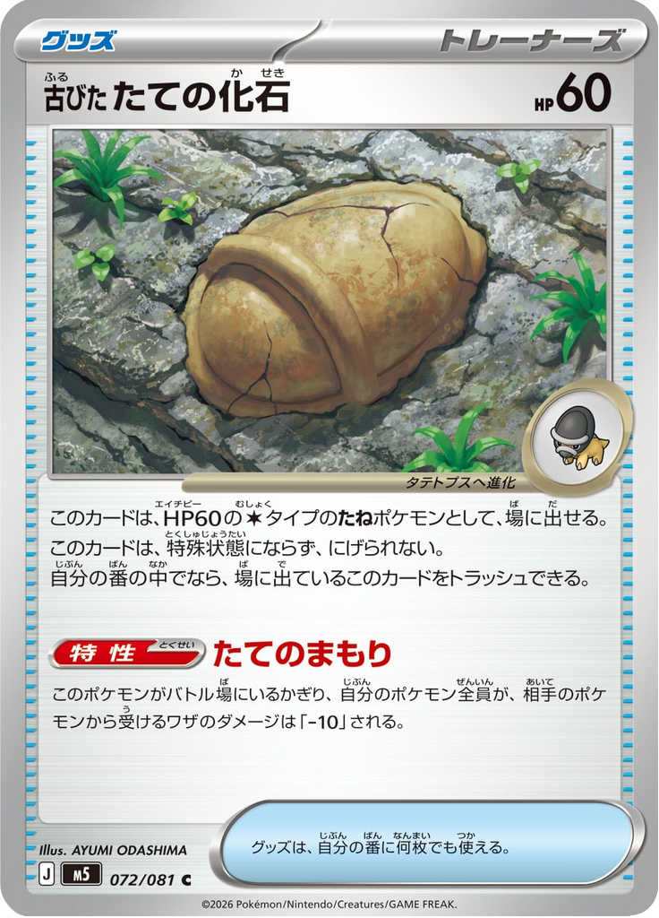 古びたたての化石