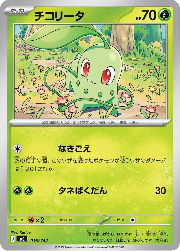 チコリータ