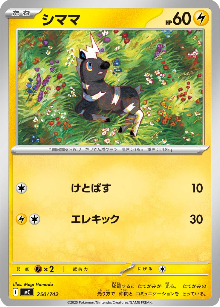 シママ
