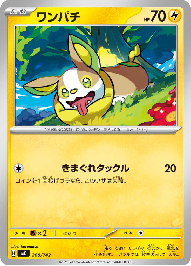 ワンパチ