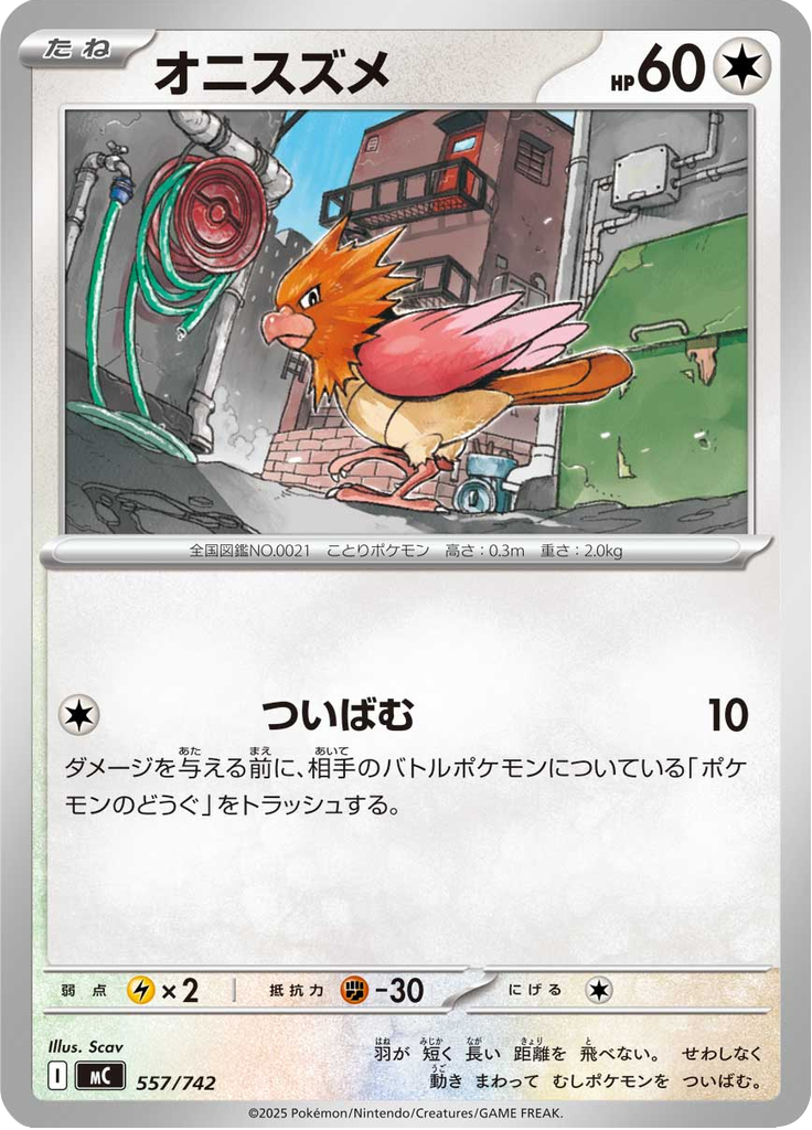 オニスズメ