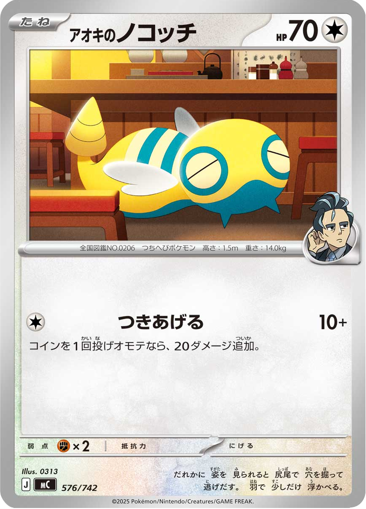 アオキのノコッチ