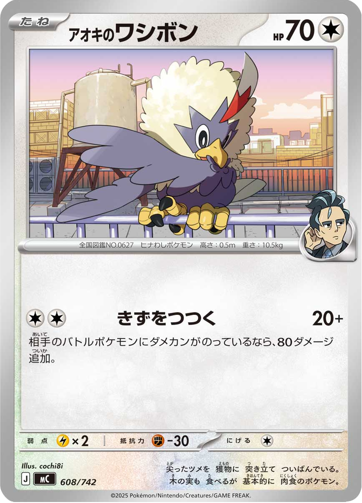 アオキのワシボン