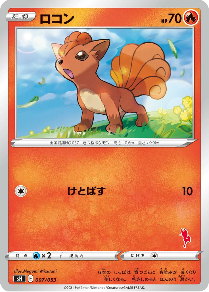 ロコン