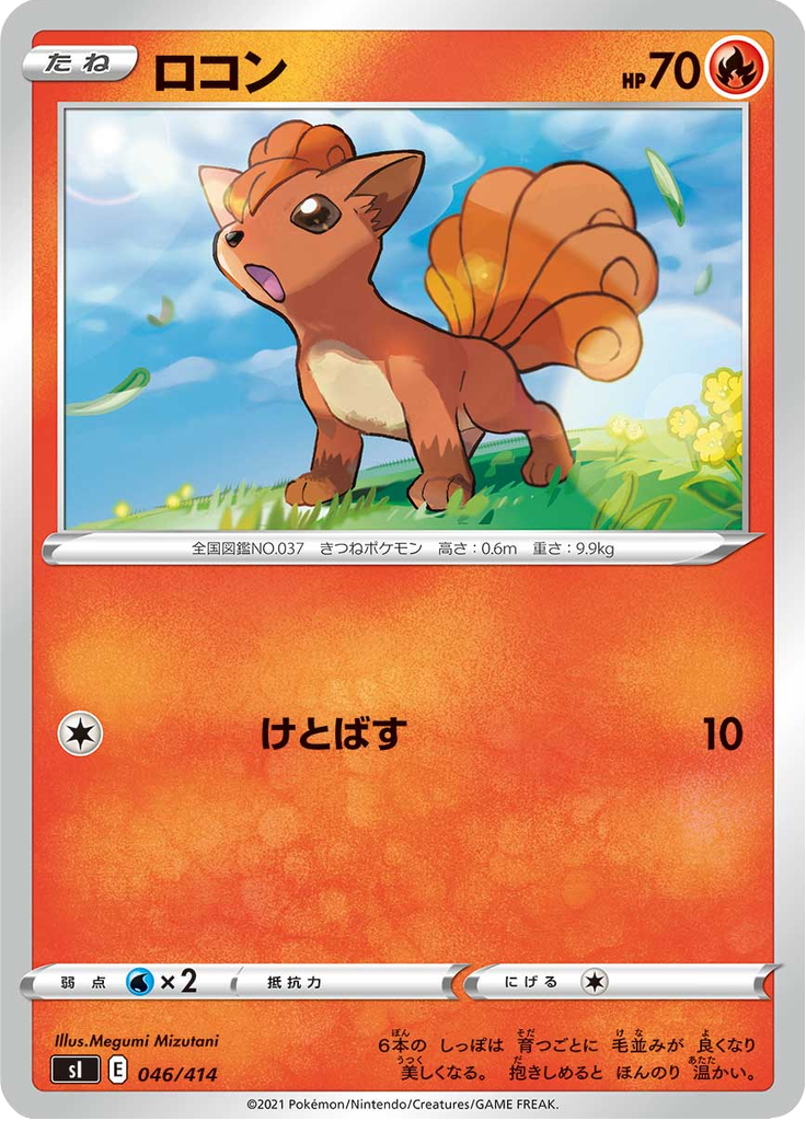 ロコン