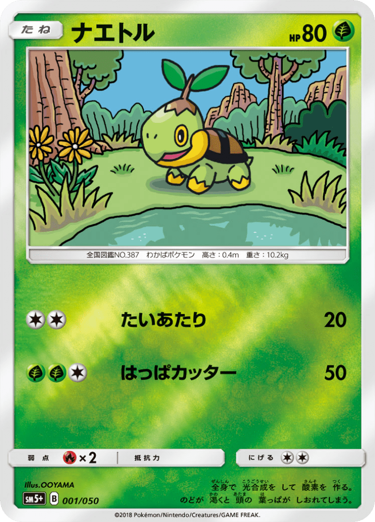 ナエトル