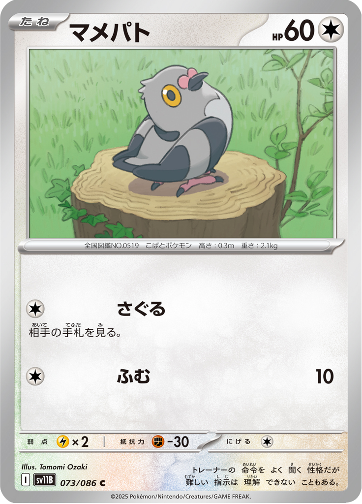 マメパト