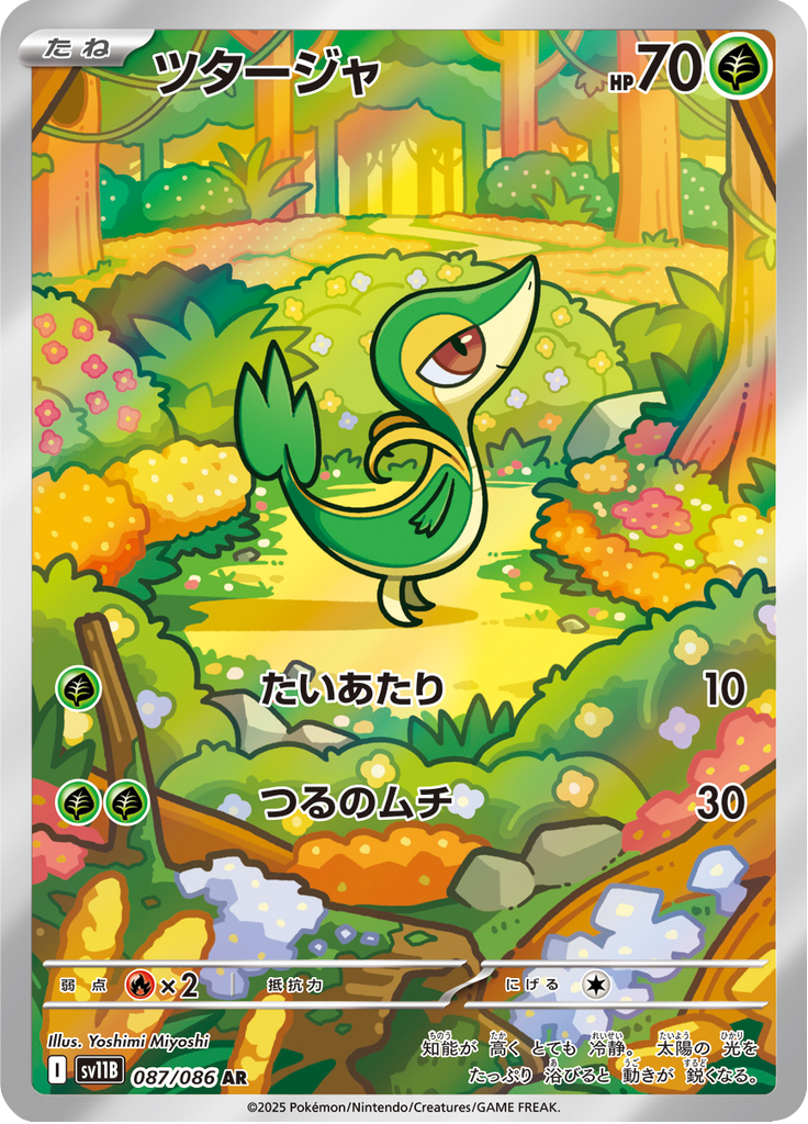 ツタージャ