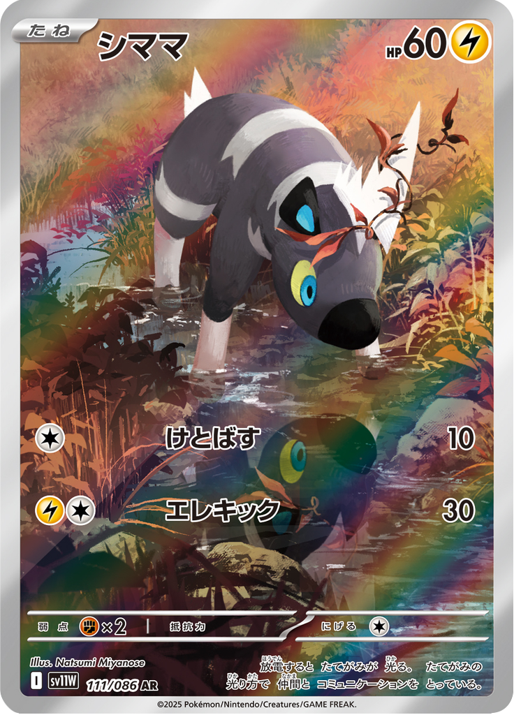 シママ