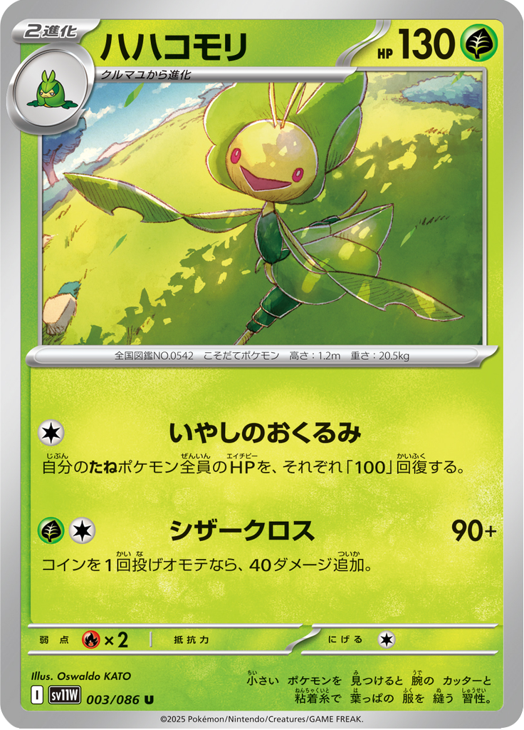 ハハコモリ